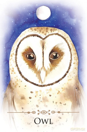 Spirit Animals Message Cards: 70 Affirmation-Style Cards with Instructions for Use - Dr. Steven Farmer [KSIĄŻKA]