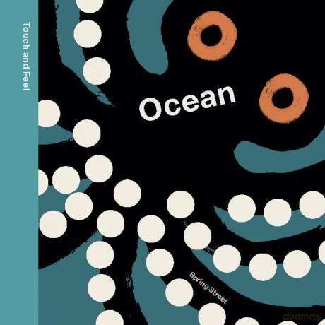 Spring Street Touch and Feel: Ocean - Boxer Books [KSIĄŻKA]