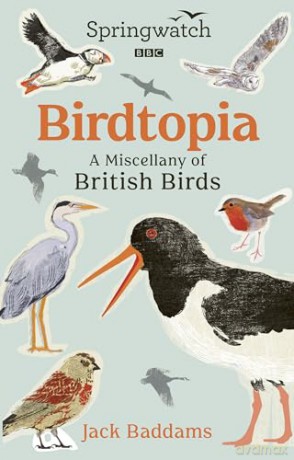 Springwatch: Birdtopia - Jack Baddams [KSIĄŻKA]