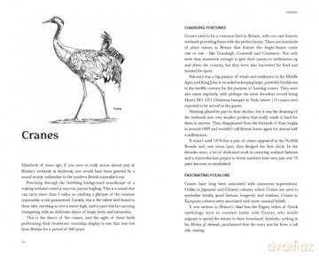 Springwatch: Birdtopia - Jack Baddams [KSIĄŻKA]