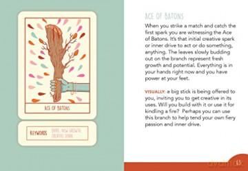 Squid Cake Marseille Tarot: 78 Gilded Cards and 184-page Guidebook - Jess Rollar [KOMIKS]