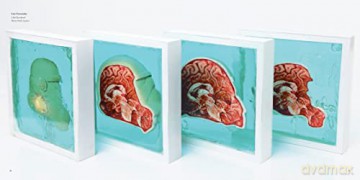 Star Wars Stormtrooper Helmet and Book Set - Titan Books [KSIĄŻKA]