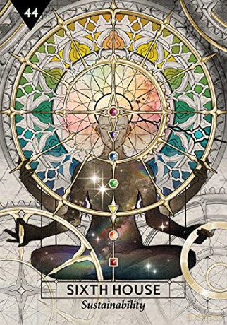 Starcodes Astro Oracle: A 56-Card Deck and Guidebook - Heather Roan Robbins [KSIĄŻKA]