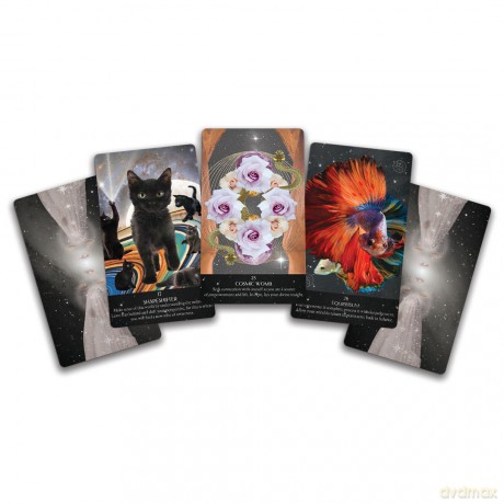 Starlight Frequencies Oracle: The Knowledge You Seek is Seeking You - 44 cards and 60pp guidebook - Leah Shoman [KSIĄŻKA]
