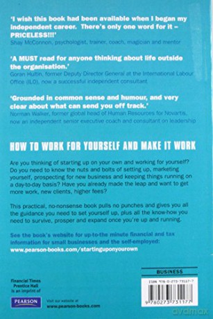 Starting Up on Your Own: How to Succeed as an Independent Consultant or Freelance - Mike Johnson [KSIĄŻKA]