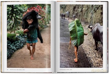 Steve McCurry. Animals - Reuel Golden [KSIĄŻKA]