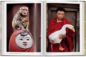 Steve McCurry. Animals - Reuel Golden [KSIĄŻKA]