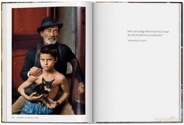 Steve McCurry. Animals - Reuel Golden [KSIĄŻKA]