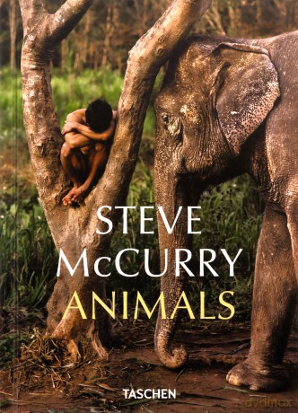 Steve McCurry. Animals - Reuel Golden [KSIĄŻKA]