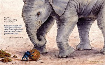 Steve The Dung Beetle: On A Roll - Susan R Stoltz [KSIĄŻKA]