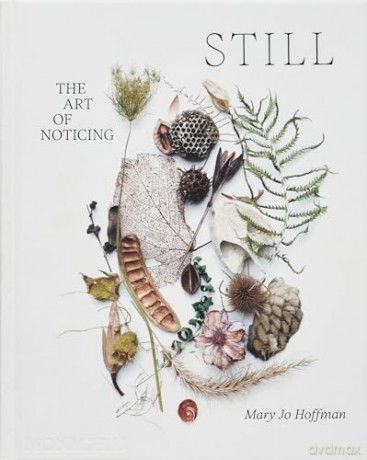 STILL: The Art of Noticing - Mary Jo Hoffman [KSIĄŻKA]