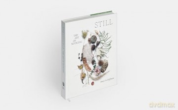 STILL: The Art of Noticing - Mary Jo Hoffman [KSIĄŻKA]