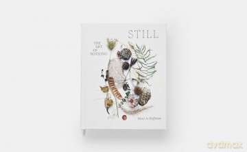 STILL: The Art of Noticing - Mary Jo Hoffman [KSIĄŻKA]