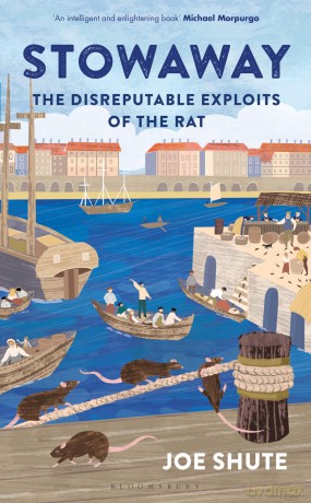 Stowaway: The Disreputable Exploits of the Rat - Joe Shute [KSIĄŻKA]