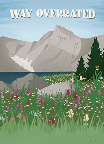 Subpar Parks Postcards: Celebrating America's Most Extraordinary National Parks and Their Least Impressed Visitors - Share [KSIĄŻKA]