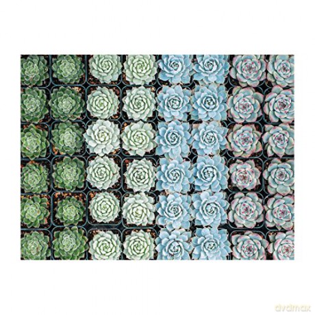Succulent Garden 2-sided 500pc Puzzle - Sarah McMenemy [PUZZLE]