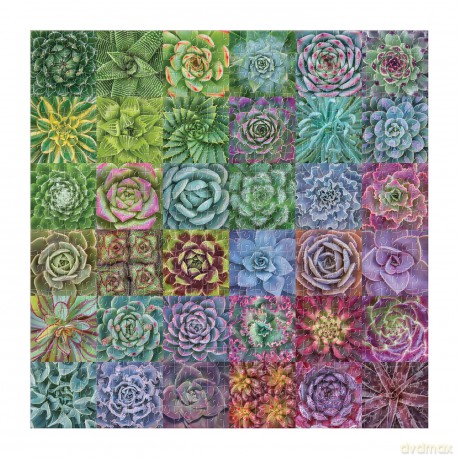 Succulent Spectrum 500 Piece Puzzle - Galison [PUZZLE]