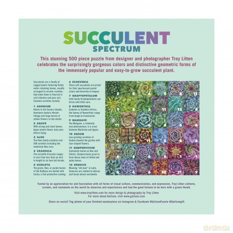 Succulent Spectrum 500 Piece Puzzle - Galison [PUZZLE]
