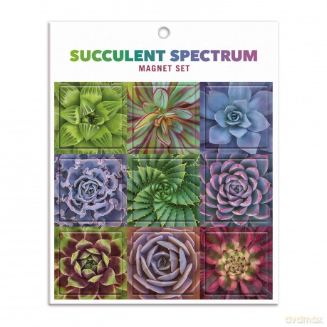 Succulent Spectrum Magnet Set - Galison [KSIĄŻKA]