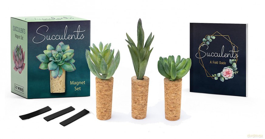 Succulents Magnet Set (Rp Minis) - Jessie Oleson Moore [KSIĄŻKA]