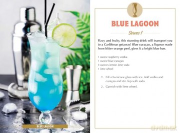 Summer Sips: Fun and Refreshing Cocktail and Drink Recipes (Seasonal Cocktail Recipes Card Set) - Adams Media [KSIĄŻKA]