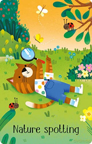 Summertime Snap (Snap Cards) - Abigail Wheatley [KSIĄŻKA]