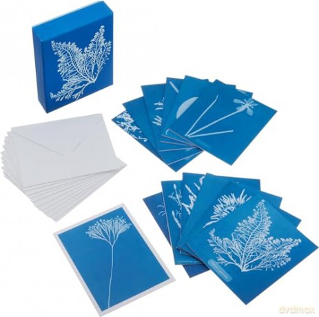 Sunprint Notecards: The Cyanotypes of Anna Atkins - Benjamin English [KALENDARZ]