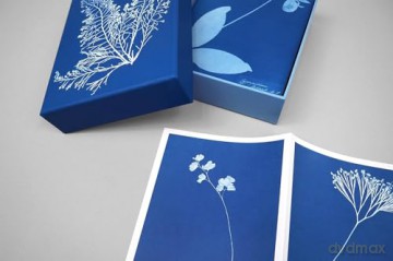 Sunprint Notecards: The Cyanotypes of Anna Atkins - Benjamin English [KALENDARZ]