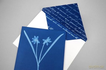 Sunprint Notecards: The Cyanotypes of Anna Atkins - Benjamin English [KALENDARZ]