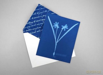 Sunprint Notecards: The Cyanotypes of Anna Atkins - Benjamin English [KALENDARZ]