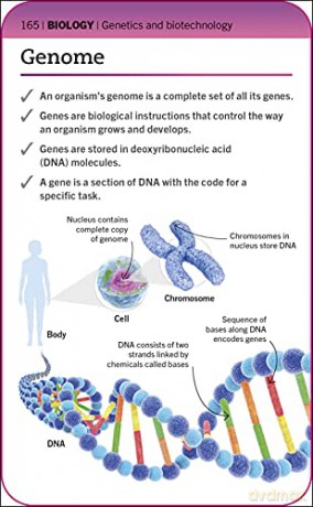 Super Simple Biology Revision Cards Key Stages 3 and 4: 125 Comprehensive, Easy-to-Use Revision Cards for GCSE Exam Preparation - Dk [KSIĄŻKA]