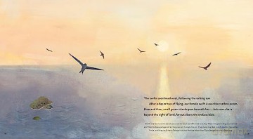 Super Swifts: The Small Bird With Amazing Powers (Nature Storybooks) - Justin Anderson [KSIĄŻKA]