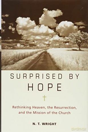Surprised by Hope: Rethinking Heaven, the Resurrection, and the Mission of the Church - N. T. Wright [KSIĄŻKA]