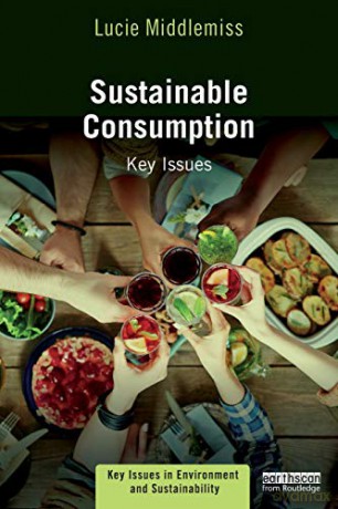Sustainable Consumption: Key Issues (Key Issues in Environment and Sustainability) - Lucie Middlemiss [KSIĄŻKA]