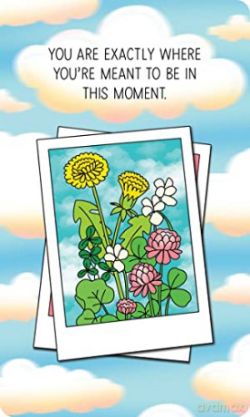 Take What You Need: An Affirmation Deck for Tuning in to Your Inner Voice - Dani DiPirro [KSIĄŻKA]