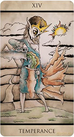 Tarot Nuages - Gniedmann [KSIĄŻKA]