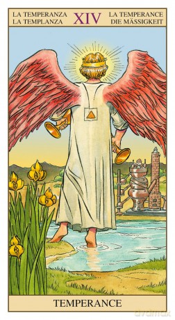 Tarot of the New Vision Boxed Set: 78 Full Colour Cards and 160pp Book - Giordano Berti [KSIĄŻKA]