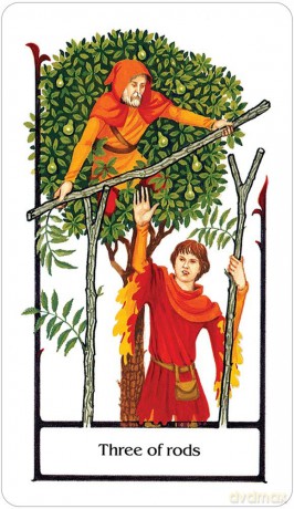 Tarot of the Old Path: The Magic Tarot of Female Energies and Wisdom - Sylvia Gainsford [KSIĄŻKA]