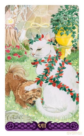 Tarot of the Pagan Cats - Mini Tarot: 78 full colour tarot cards and instructions - Magdelina Messina [KSIĄŻKA]