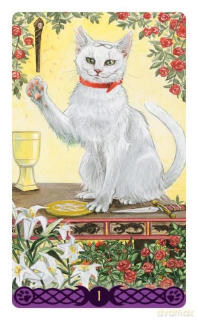 Tarot of the Pagan Cats - Mini Tarot: 78 full colour tarot cards and instructions - Magdelina Messina [KSIĄŻKA]
