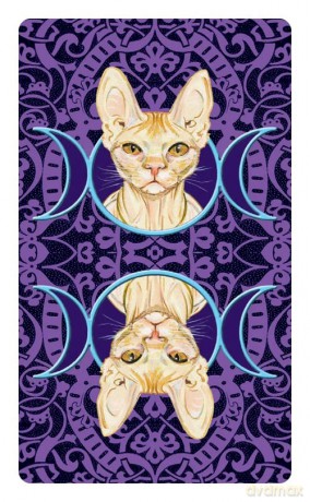 Tarot of the Pagan Cats - Mini Tarot: 78 full colour tarot cards and instructions - Magdelina Messina [KSIĄŻKA]