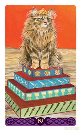 Tarot of the Pagan Cats - Mini Tarot: 78 full colour tarot cards and instructions - Magdelina Messina [KSIĄŻKA]