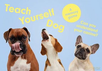 Teach Yourself Dog: A memory game - Gerrard Gethings [KSIĄŻKA]