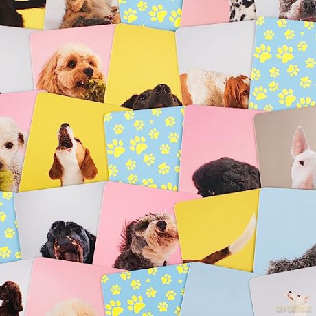 Teach Yourself Dog: A memory game - Gerrard Gethings [KSIĄŻKA]
