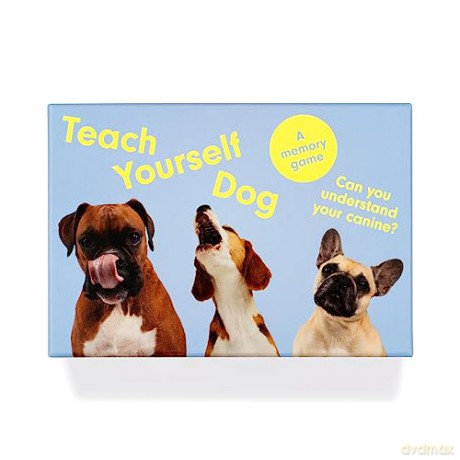 Teach Yourself Dog: A memory game - Gerrard Gethings [KSIĄŻKA]