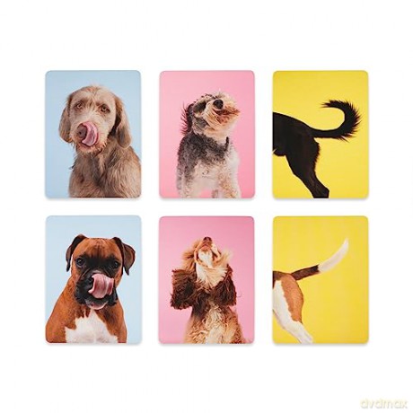 Teach Yourself Dog: A memory game - Gerrard Gethings [KSIĄŻKA]