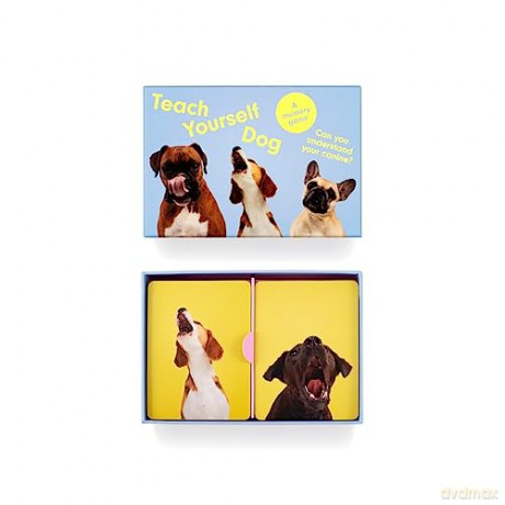 Teach Yourself Dog: A memory game - Gerrard Gethings [KSIĄŻKA]
