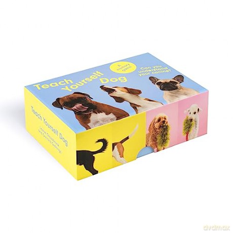 Teach Yourself Dog: A memory game - Gerrard Gethings [KSIĄŻKA]