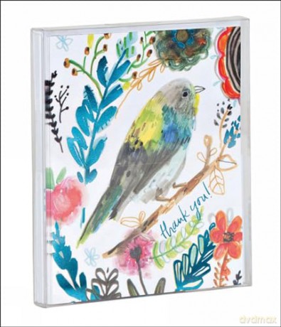 Thank You Bird Notecard Set: In Portable Acetate Box (Thank You Notecard Set) - Jennifer Orkin Lewis [KSIĄŻKA]