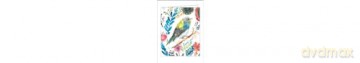 Thank You Bird Notecard Set: In Portable Acetate Box (Thank You Notecard Set) - Jennifer Orkin Lewis [KSIĄŻKA]